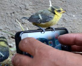 A beginner’s guide to rooting and jailbreaking